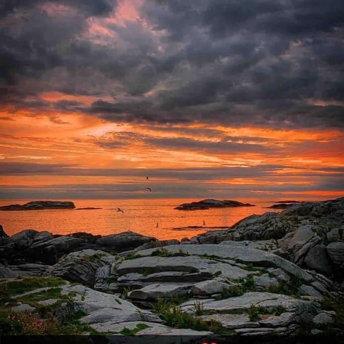 Close To Sea, Central, Rent A Boat, Mountain Hike, Wifi, Free Parking Haug Buitenkant foto
